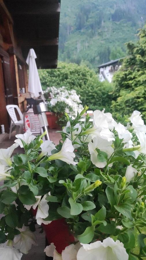 Tellahouse Hotel Chamonix Luaran gambar